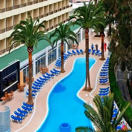 Sol Palmanova Mirlos Tordos Magaluf (Mallorca)